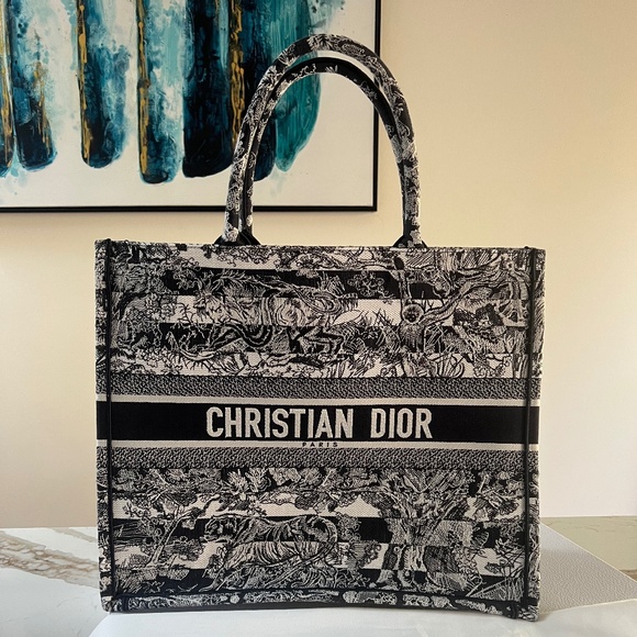 LARGE DIOR BOOK TOTE - Blue Toile de Jouy Embroidery - Picture 1 of 10